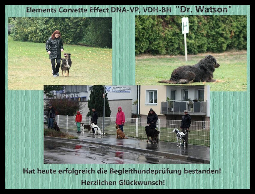 Dr.BH-kleinUnbenannt - 1