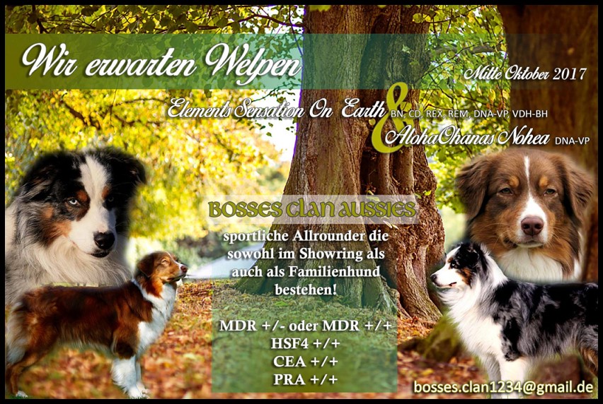 Hunter &Nonjo-Collage21427543_1300820276707060_1456475089153397582_o