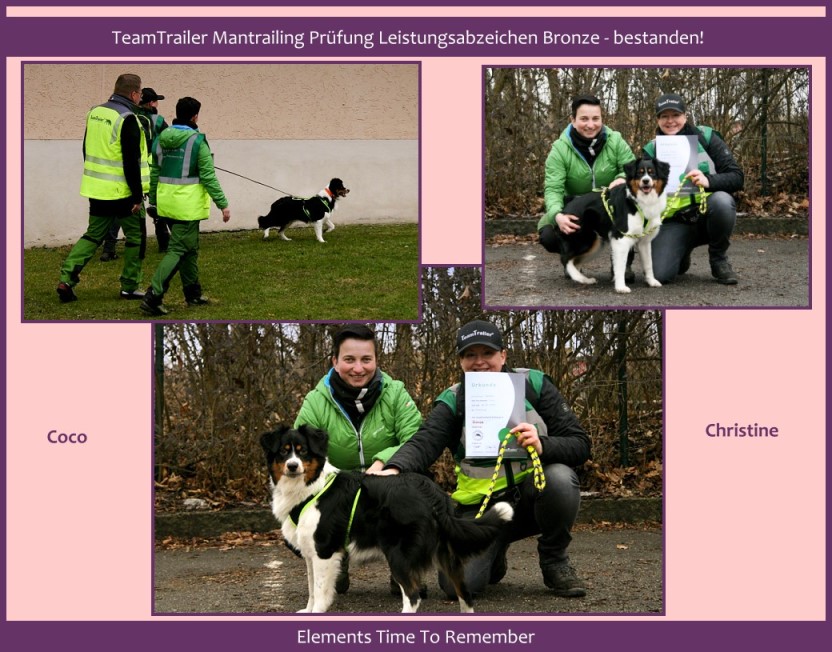 Mantrailing-COCO-klein - 1