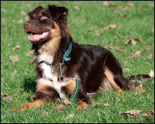 1378143_743673058992439_267276675_n