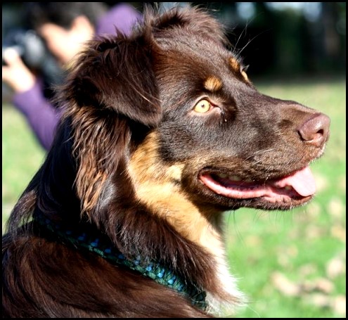 524074_743674295658982_975079766_n