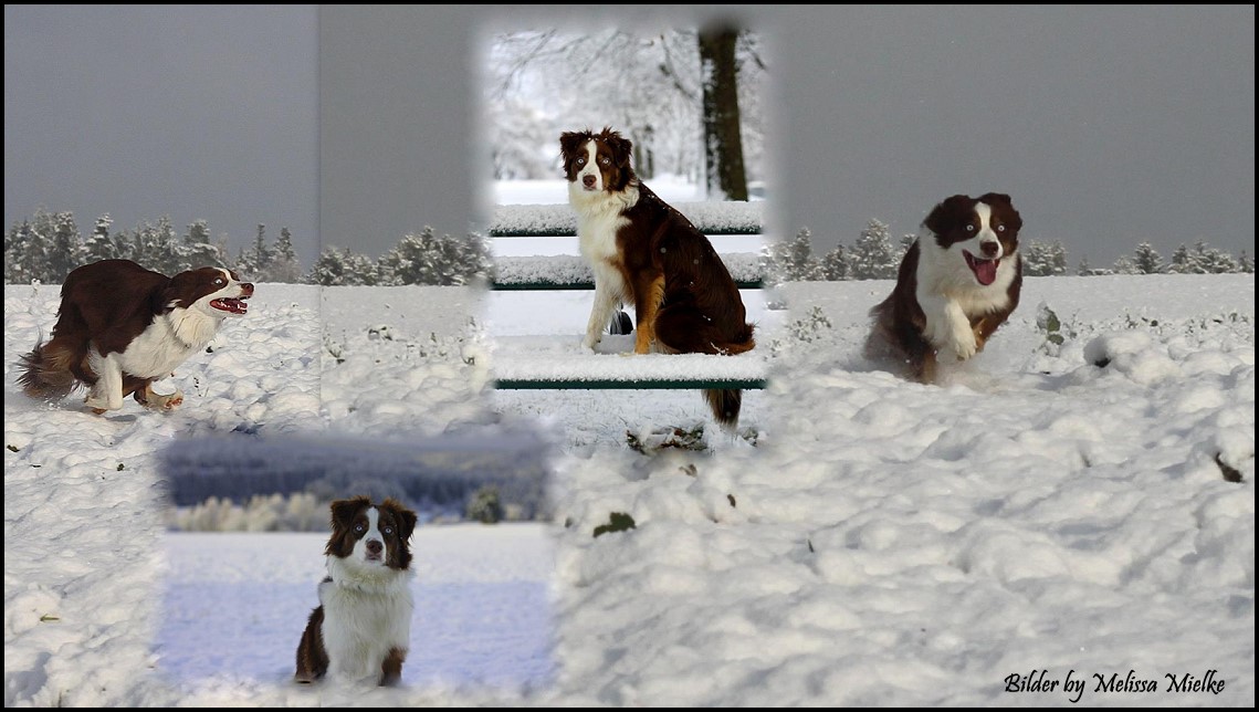 Nalacolaklein10873005_1036166913066168_4381277418424540275_o