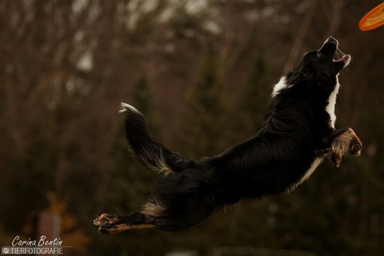 a10835415_815234318542444_1144461827428119074_o