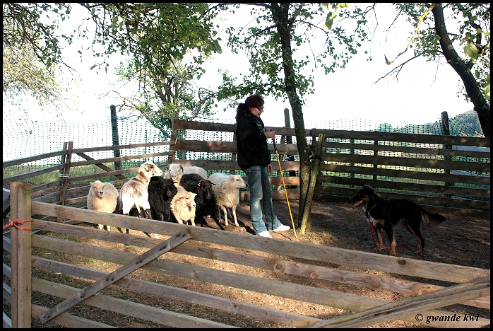 dr.watson-huetenimg_23340