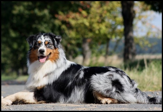 KCChannig21272906_1878011098876012_674206453815115778_o