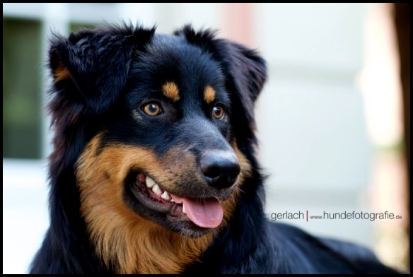 KLOGAN_MG_7849 Kopie