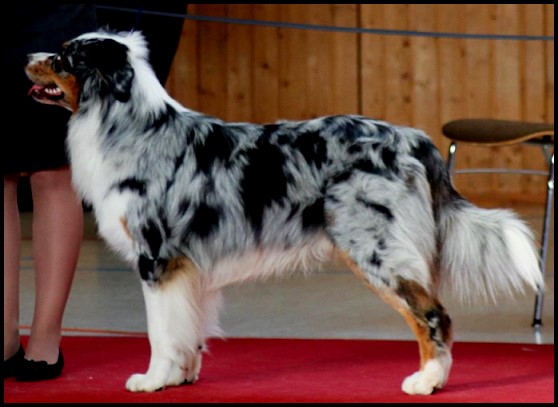 KSonic25398033_2020312187995180_2195996127829614286_o