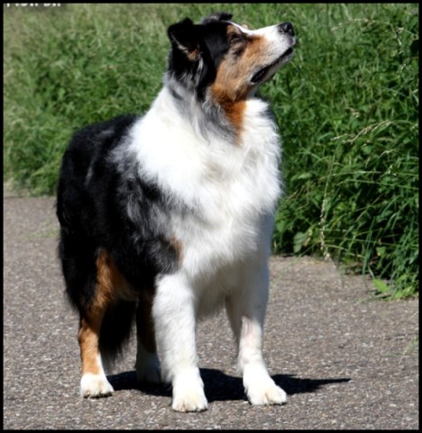 Kleionbooker8birthdayIMG_4807