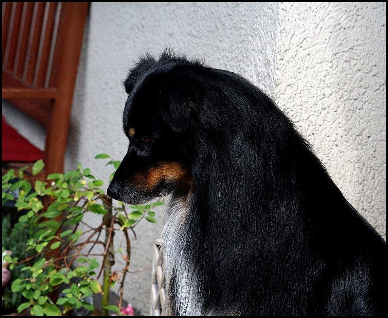 10659348_942441742448902_1231223160142094579_n