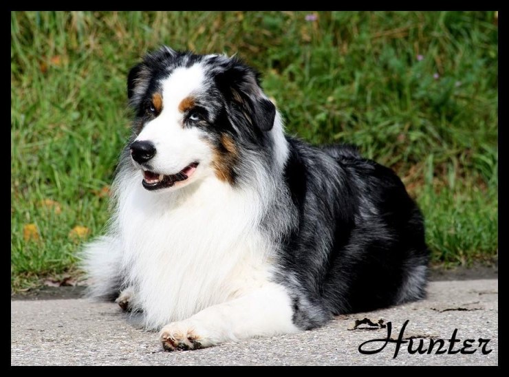 10665209_969877156372027_747189190718032613_n