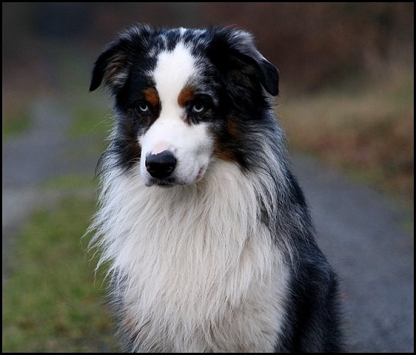 1520699_783955924964152_754648410_n