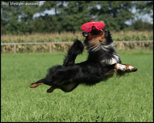 19.09.2010-denzel-Spieli7