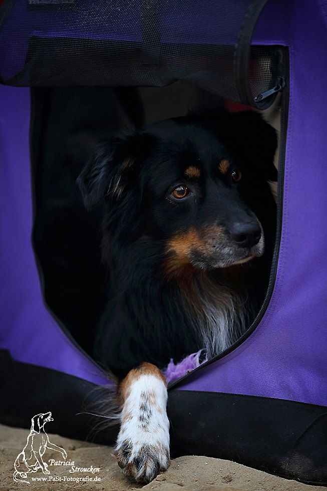 1966300_691503567558530_1793579389_o