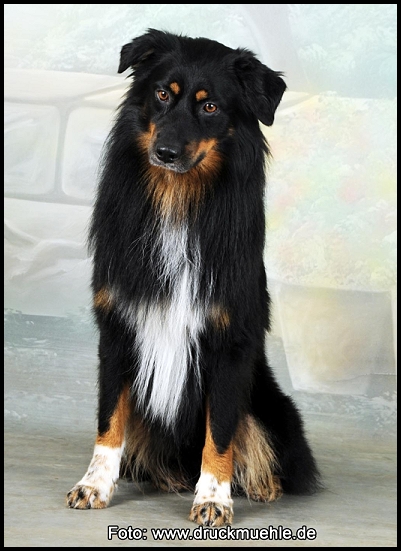 DSC_5193bearbeitet-klein