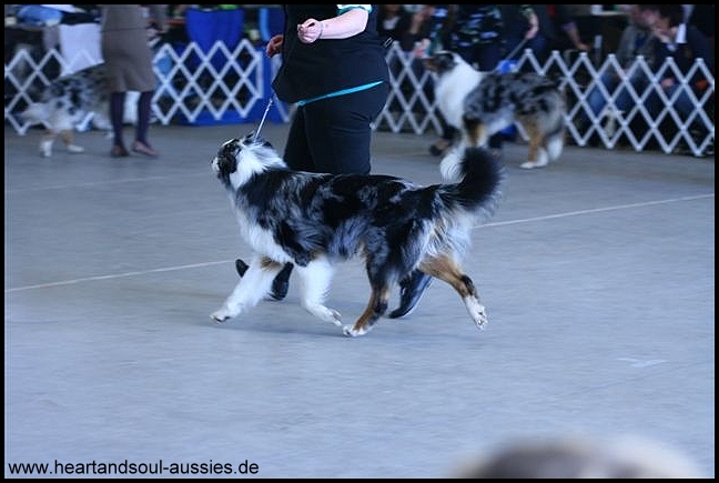 HunterBocholt2011-martina1