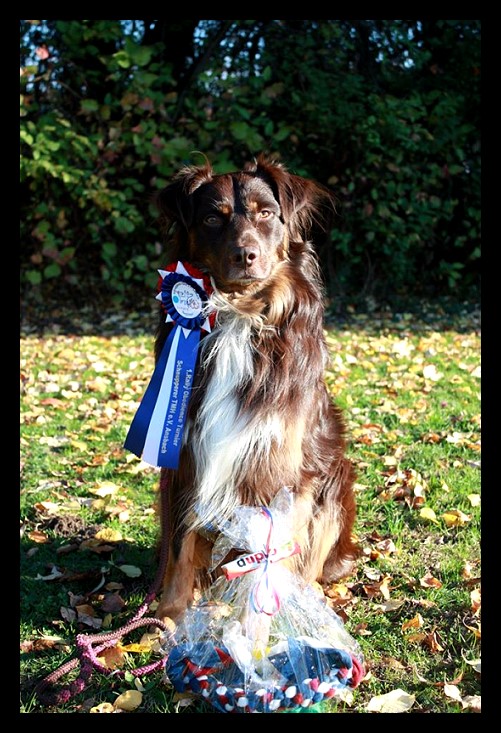 XDr.WatsonRO12140976_945385905520951_5330666565697649561_o