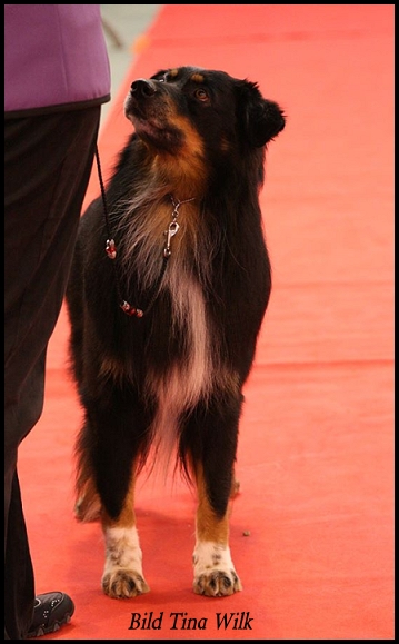 denzel-frank10370716_399175016892131_623751744_n