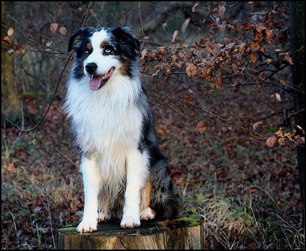 hunter1458428_783957108297367_1884366235_n