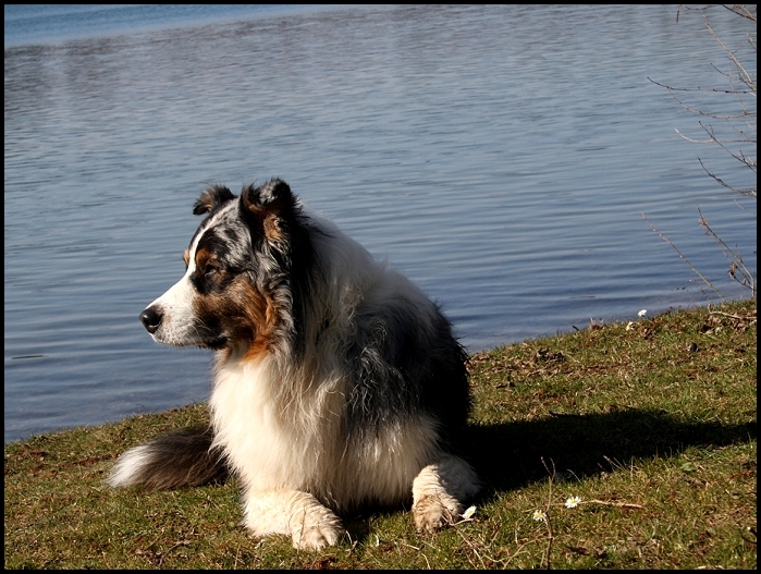 bookerIMG_8000