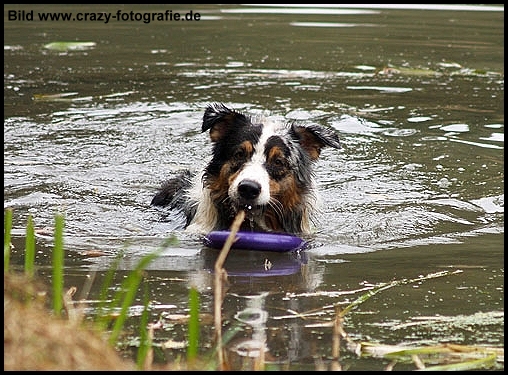 bookerwasser09