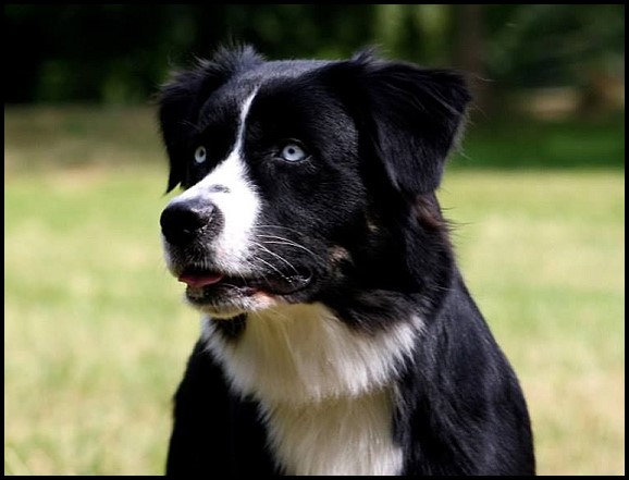 klein10372084_904077662951977_3518930759024015613_n