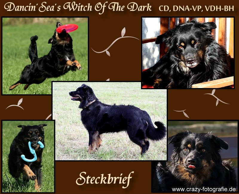 Paige-TopBanner125t - 1