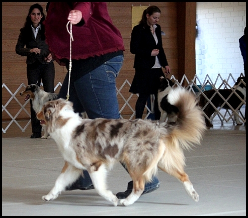 klein-RachelIMG_9156