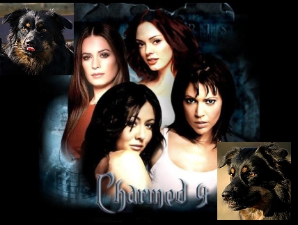charmed