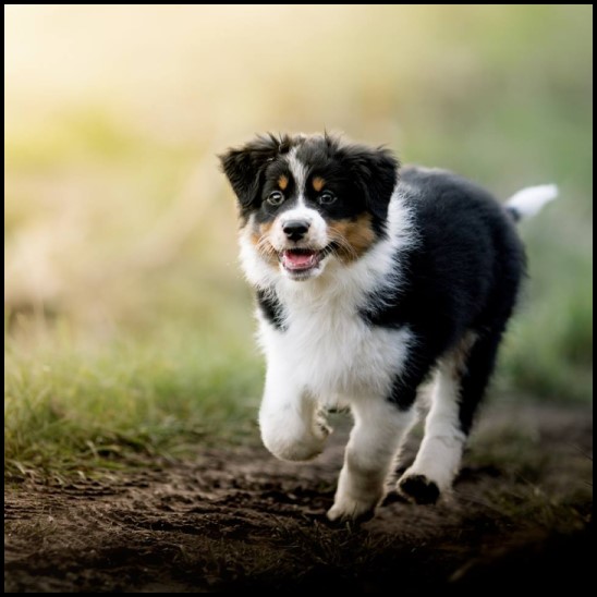 10246526_1735656346668855_5467550844628642506_n