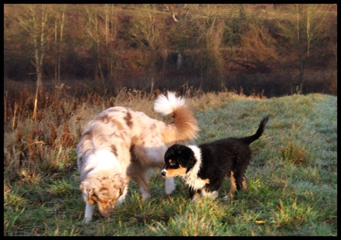 10285583_1243973598962380_7654442472439531673_o