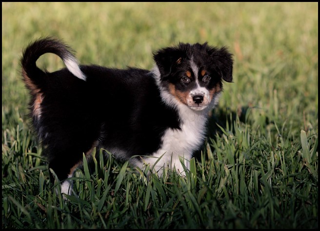 11062253_1735656873335469_8694681100990092686_o