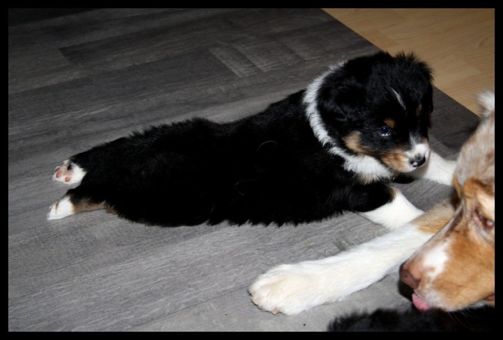 12239276_1226947827331624_954508108672459137_o