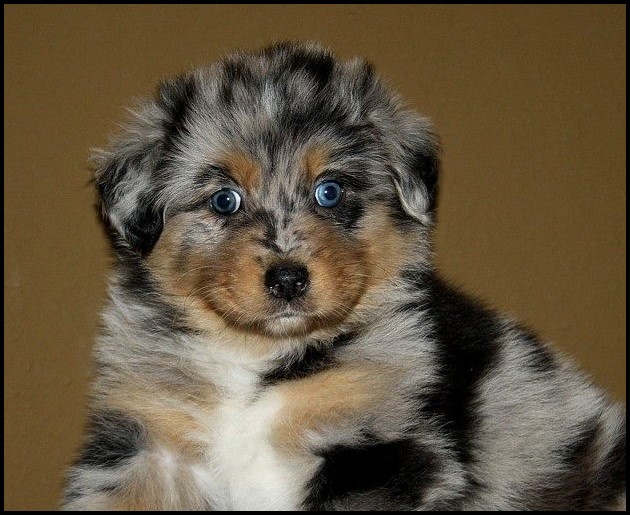 12273668_1228184467207960_4701326255368029843_o