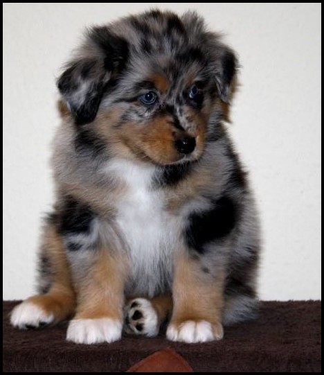 12304037_1232319086794498_694546760462059540_o