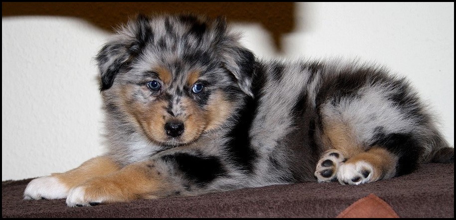 12314176_1232318903461183_4157005042246662523_o