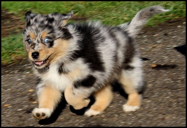 12314190_1234207503272323_7181529013063663631_o