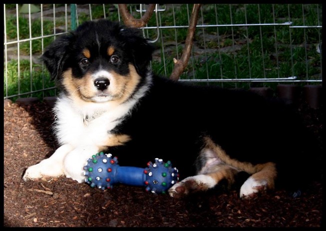 12363079_1243973908962349_5078300821915461233_o