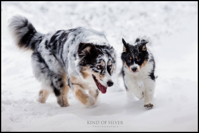 12402042_1637219213207953_8989064387151080877_o