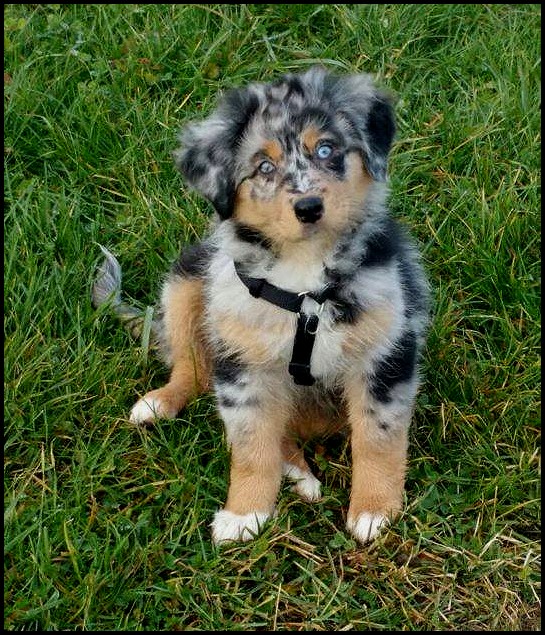 12498844_1255717301121343_361024961_n