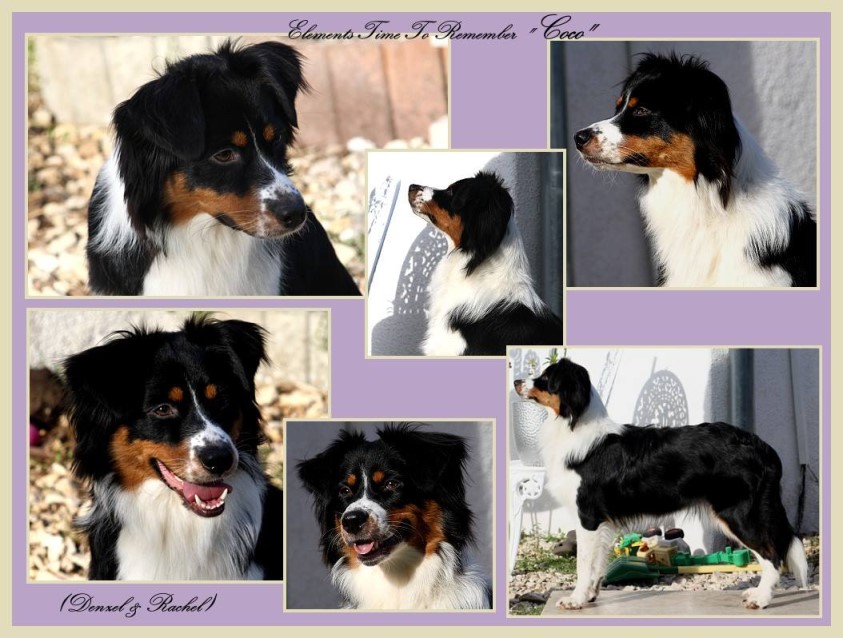 14188438_1453458964680508_5737414709461025344_o