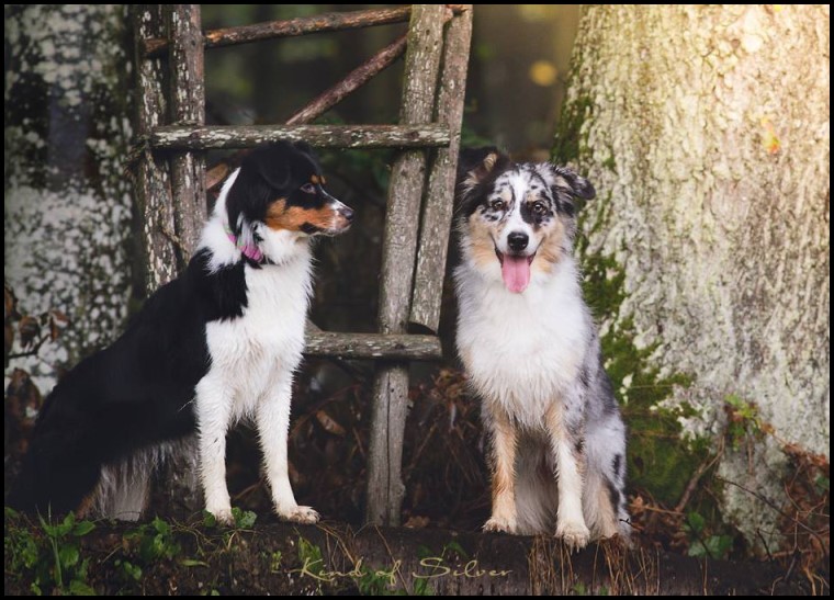 14329928_1850236665210822_7964585381126399857_n