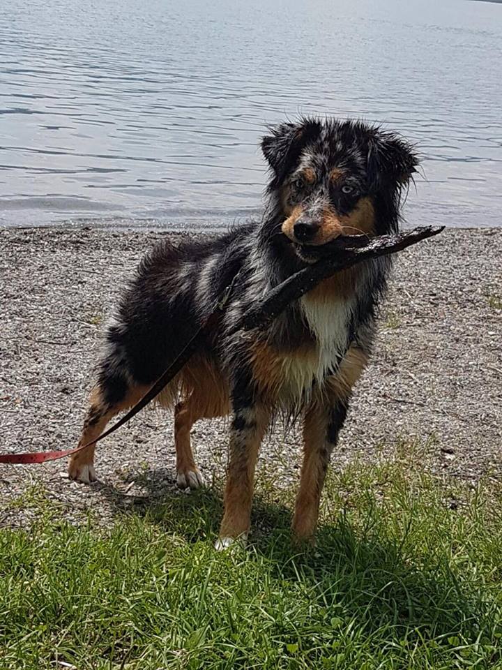 14610735_1488935477799523_1437964994_n