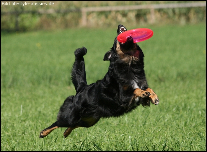 19.09.2010-Paige-Spieli-3