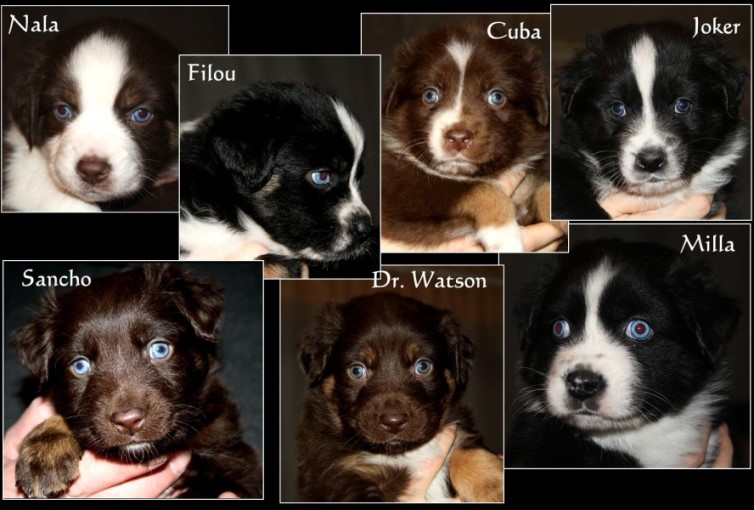 A2Birthday-remberget-attachment (5)