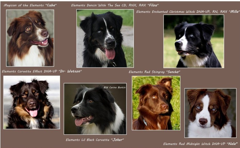 A2BirthdayPaigeCruzt - 7