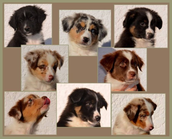 Baby-besuch14908382_1514404615252609_1669864031522420022_n