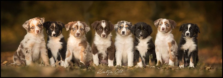 Babys-Kiwi215016305_1294929917234336_1413067118316145680_o