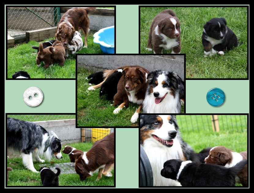 Besuch-Hunter-Kiwi2 - 2