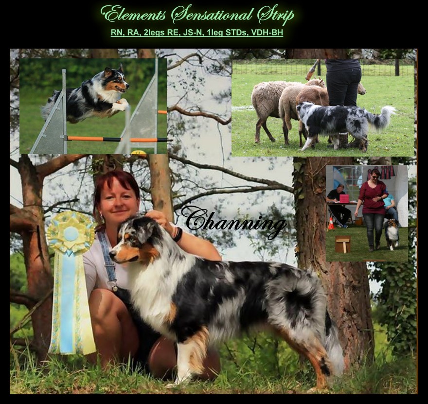 ChanningColla18951126_1795952260431175_564218515871750061_n