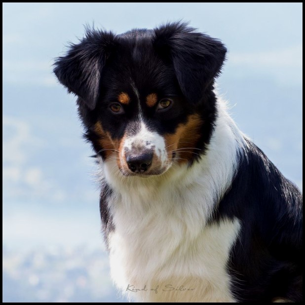 Coco19242999_1991748064393014_3704064675217438166_o